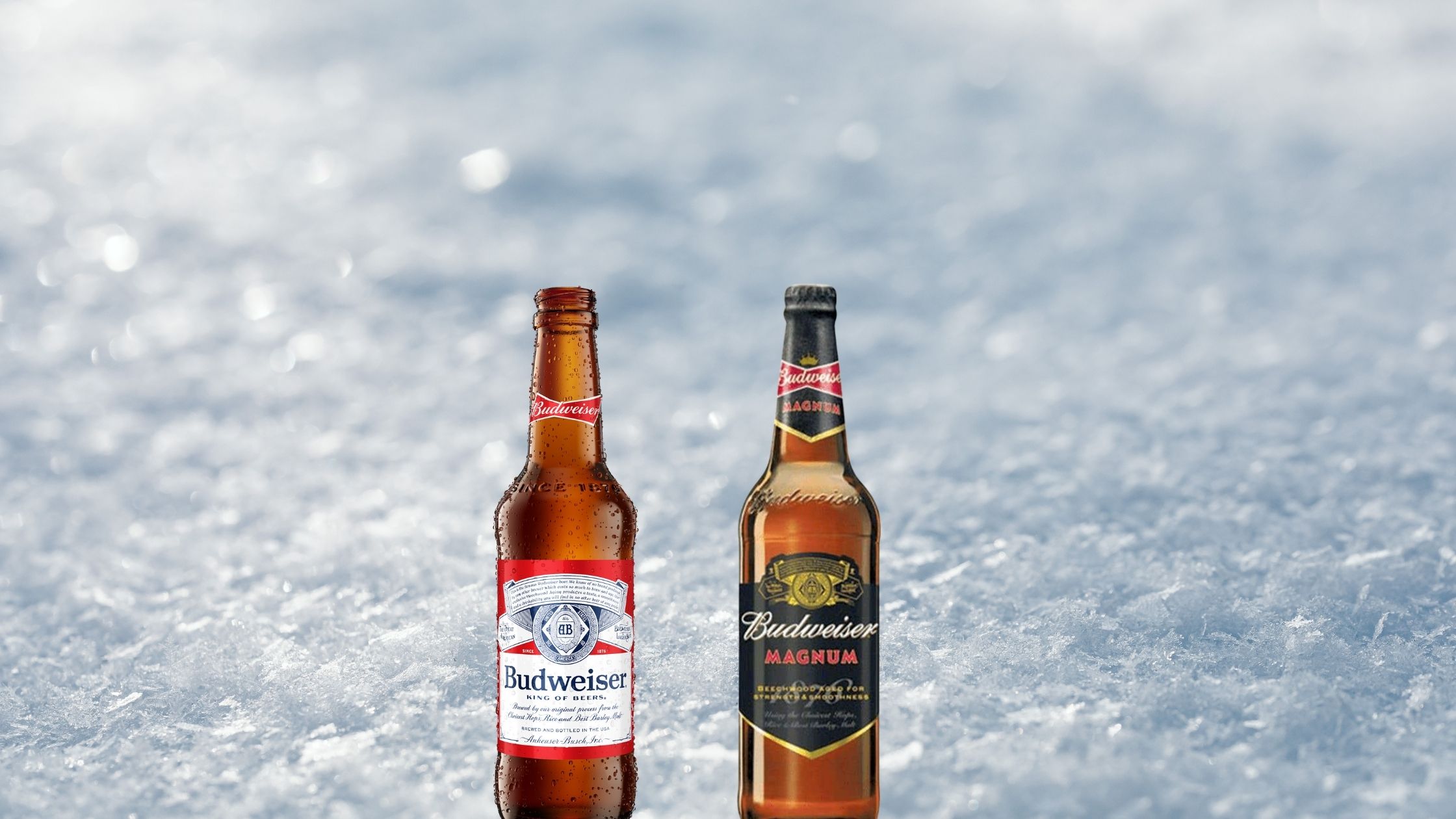 Budweiser Original vs Budweiser Magnum: Taste, Alcohol Percentage & Price in India